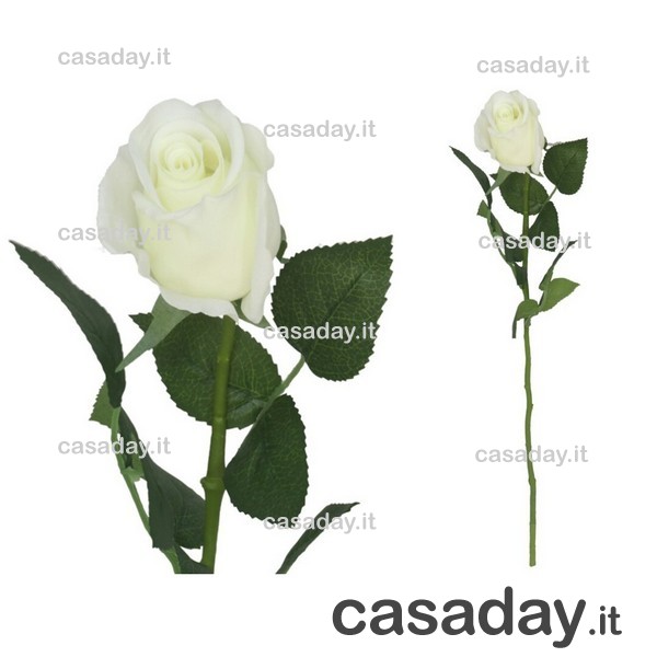 ROSA NATURAL CM.58 